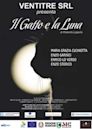 Il gatto e la luna