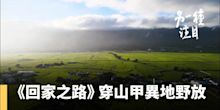 穿山甲異地野放 野生動物救傷照護日常