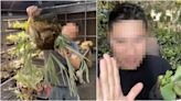 真實版《馴鹿寶貝》？老闆被女顧客騷擾多年 手機也被控制