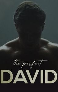 El perfecto David