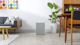 RS Recommends: The Best HEPA Air Purifiers for Smoke, Germs and Viruses