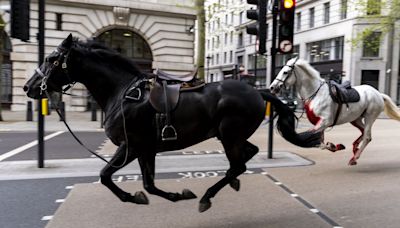 King’s Horses Run Amok in London, Escaping Monarch’s Birthday-Parade Practice