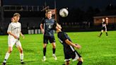 These are the Greater Lansing high school boys soccer all-state selections