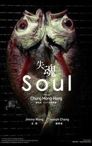 Soul (2013 film)