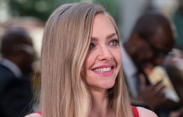 Amanda Seyfried's 'Blind Date' With a Shelter Dog Ends with So Many Smiles