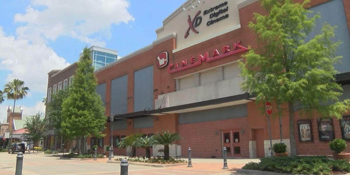 Cinemark Theatres has record weekend, questions the future of movie theatres