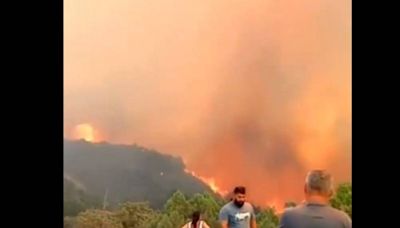 Declaran estado de emergencia en ciudad rusa de Novorossíisk por extenso incendio forestal | El Universal