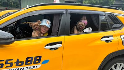 中市推廣寵物友善計程車 便利毛孩共乘搭車 | 蕃新聞
