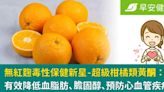 無紅麴毒性保健新星-超級柑橘類黃酮：有效降低血脂肪、膽固醇、預防心血管疾病！