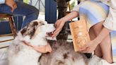 WagWell Is Bringing Beauty Industry Standards to the Pet Wellness Business