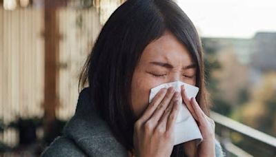How to spot the difference between hay fever, a cold and Covid - full list of symptoms