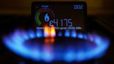 Every household should be forced to have a smart meter, says British Gas boss