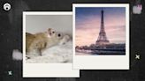 ¿Sabías que París tiene más ratas que habitantes? Esto dicen los números | Fútbol Radio Fórmula