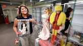 Planned downtown Modesto museum to showcase hundreds of iconic dolls. What will be there