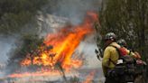 Fire restrictions lifted for Coconino County, Kaibab National Forest and others