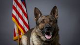 Independence K-9 passes away after 8 years of service