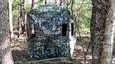See Your Target Without It Seeing You From These Expert-Recommended Hunting Blinds