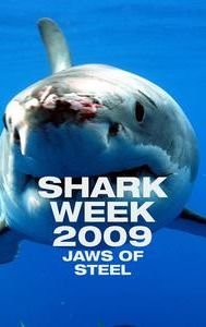 Shark Week 2009: Jaws of Steel