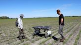 Robots with hoes show farmers possible future of weed control