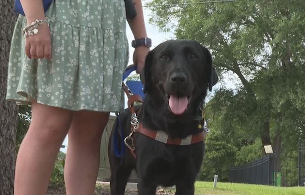 Blind woman’s guide dog denied entry to church