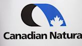 Canadian Natural fined for not stopping birds from nesting on tailings pond island