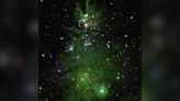 Nasa telescope captures green Christmas tree-shaped cluster of stars lighting up