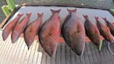 TCPalm fishing report: What summer slowdown? Snapper, kingfish, sailfish energize bite