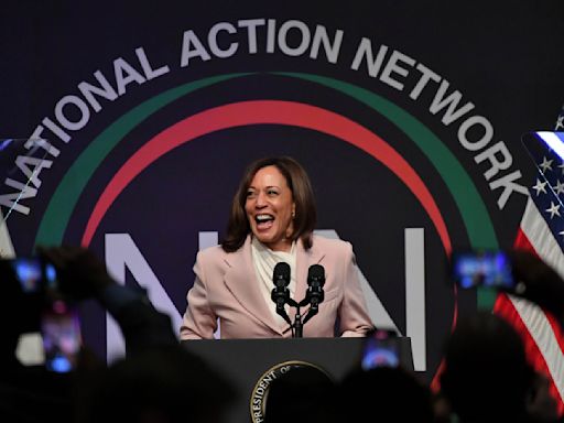 The Kamala Harris coconut tree, explained: What do all the memes from the ‘KHive’ mean?