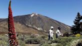 Tenerife, la isla canaria de los mil contrastes