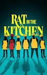 Rat in the Kitchen