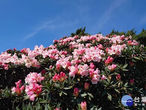 合歡山松雪樓 放寬國旅卡補助