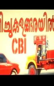 Kanichukulangarayil CBI