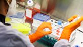 Bavarian Nordic sees boost from monkeypox vaccine in Q2