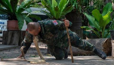 Bilder zeigen, wie sich Marines auf Vogelspinnen und Vipern im Dschungel vorbereiten