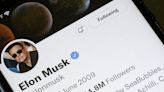 Elon Musk's sale of another $7 billion in Tesla stock makes his Twitter takeover more likely, Wedbush says