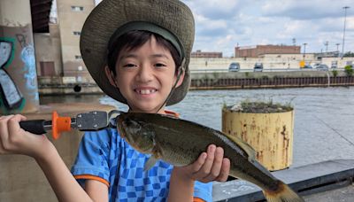 Chicago fishing: Pink salmon reminder and settling down into summer patterns