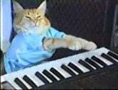 Keyboard Cat