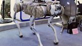 How China's gun-toting robodogs are looking to change combat forever