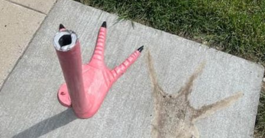 Mystery: Large pink flamingo from Parma vanished