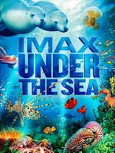 Under the Sea