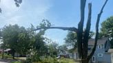 Severe thunderstorms leave much of Southern Tier without power, downed trees, other damage