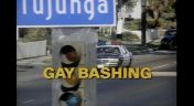 4. Gay Bashing