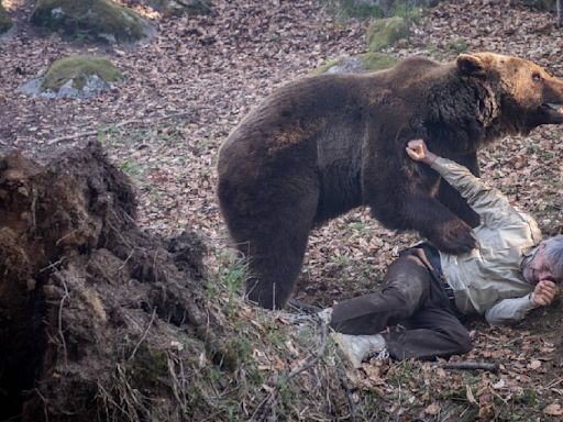 Thought The Revenant’s bear attack scene was bad? An upcoming thriller is using a real grizzly in the movie