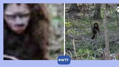 Wild footage purportedly shows 'baby Bigfoot' walking through the woods - watch!
