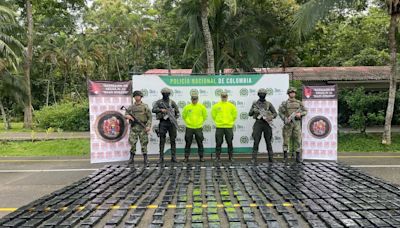 En medio de un cultivo de bananos incautaron media tonelada de cocaína en Antioquia: pertenecería al Clan del Golfo