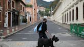Evite el robo de su mascota: se han registrado más de 500 hurtos en Bogotá con nueva modalidad para extorsionar
