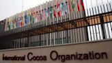 Major Ghana cocoa region 81% infected with bean disease - ICCO - ET HealthWorld