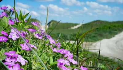 Looking for an Active Beach Trip? Check Out This Coastal Destination