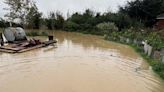 Call for gardeners to help with flood defence