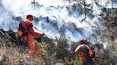 Incendios forestales: expertos de América Latina y Caribe coordinan acciones preventivas